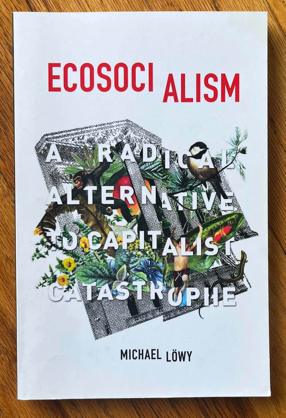 “Ecosocialism: A Radical Alternative to Capitalist Catastrophe” by Michael Löwy.