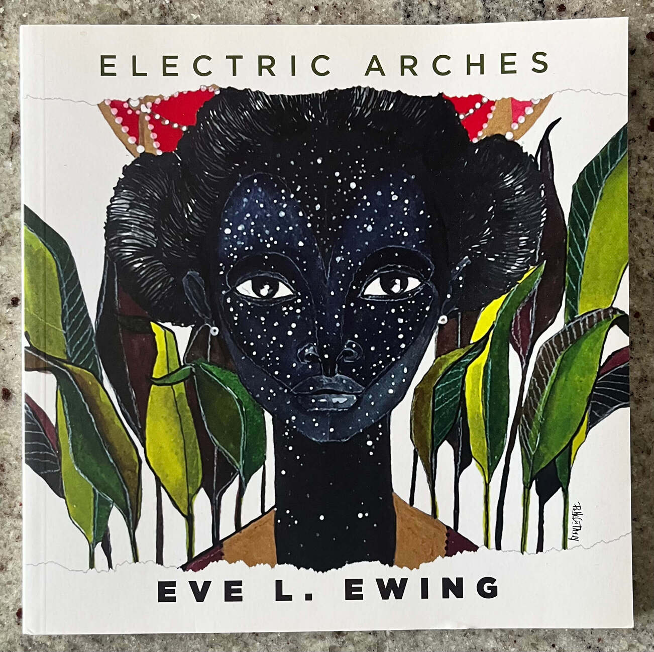 “Electric Arches” by Eve L. Ewing.