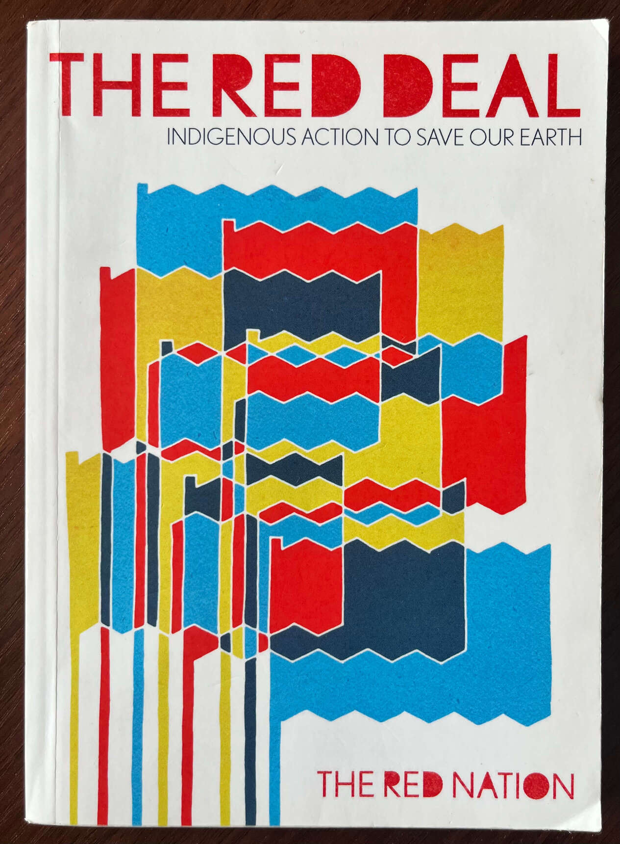 “The Red Deal: Indigenous Action to Save our Earth” by The Red Nation.