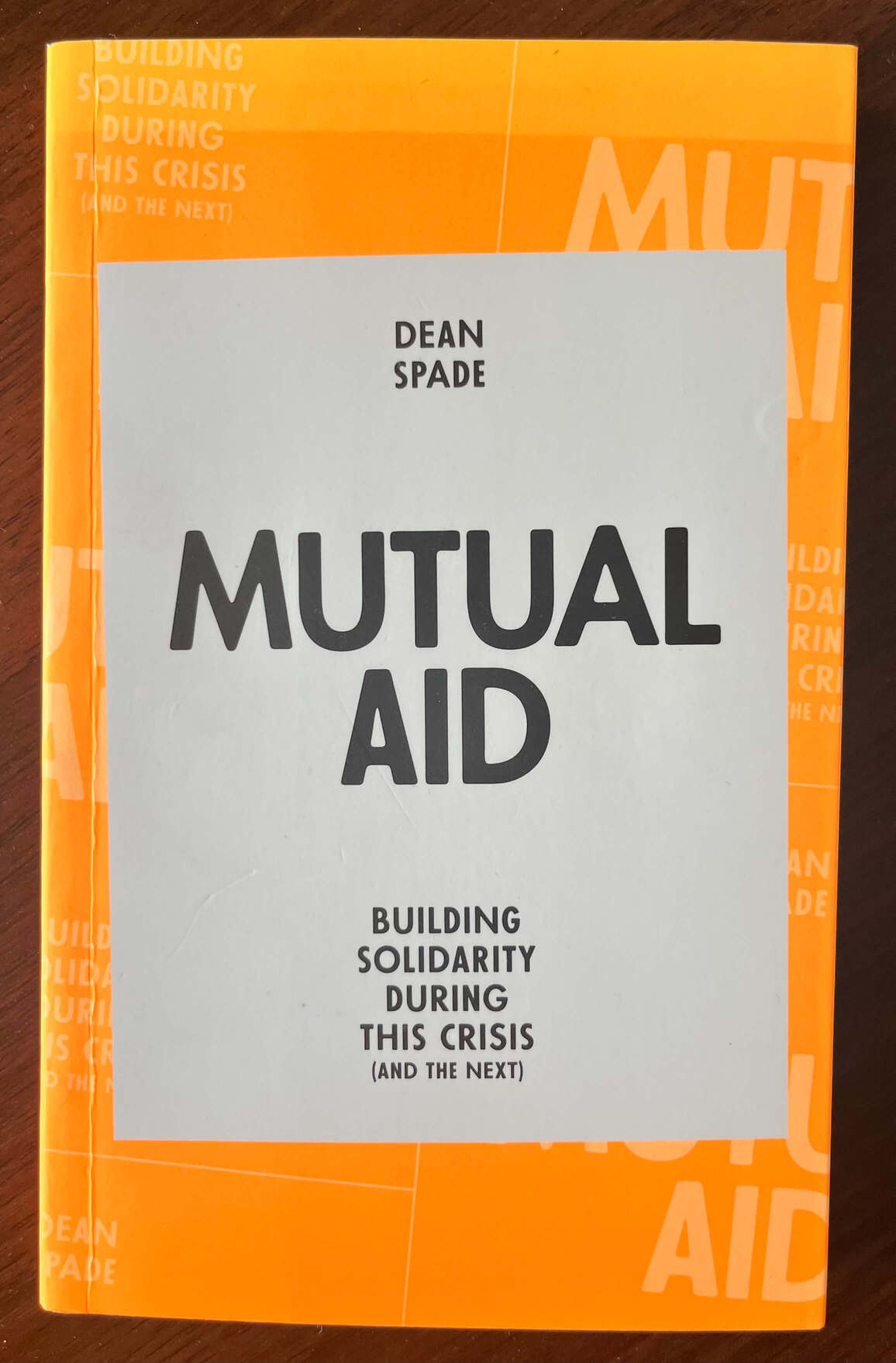 “Mutual Aid: Building Solidarity During this Crisis (and the Next)” by Dean Spade.