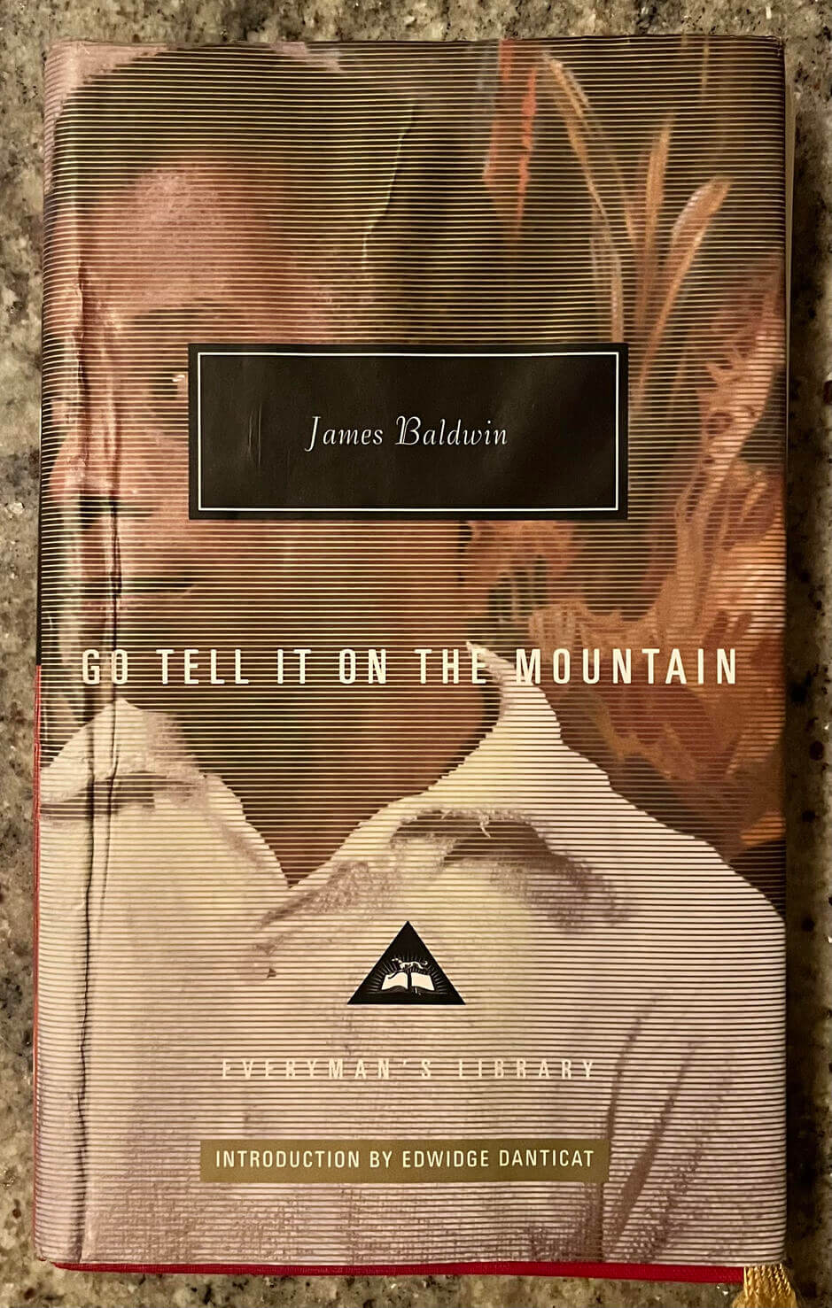 “Go Tell it on the Mountain” by James Baldwin. Introduction by Edwidge Danticat.