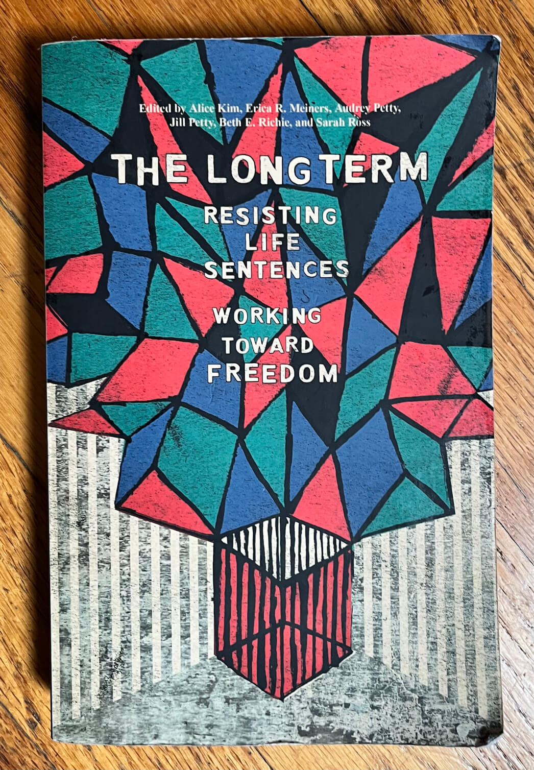 “The Long Term: Resisting Life Sentences, Working Toward Freedom” Edited by Alice Kim, Erica R, Meiners, Andrey Petty, Jill Petty, Beth E. Richie, and Sarah Ross