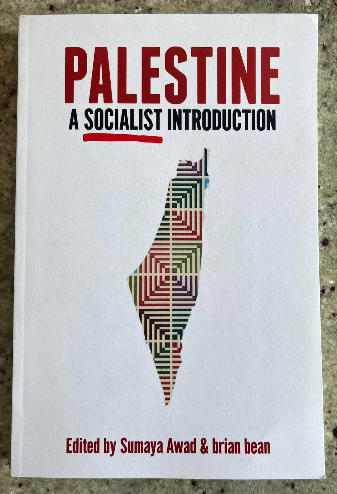 “Palestine: A Socialist Introduction” edited by Sumaya Awad and brian bean