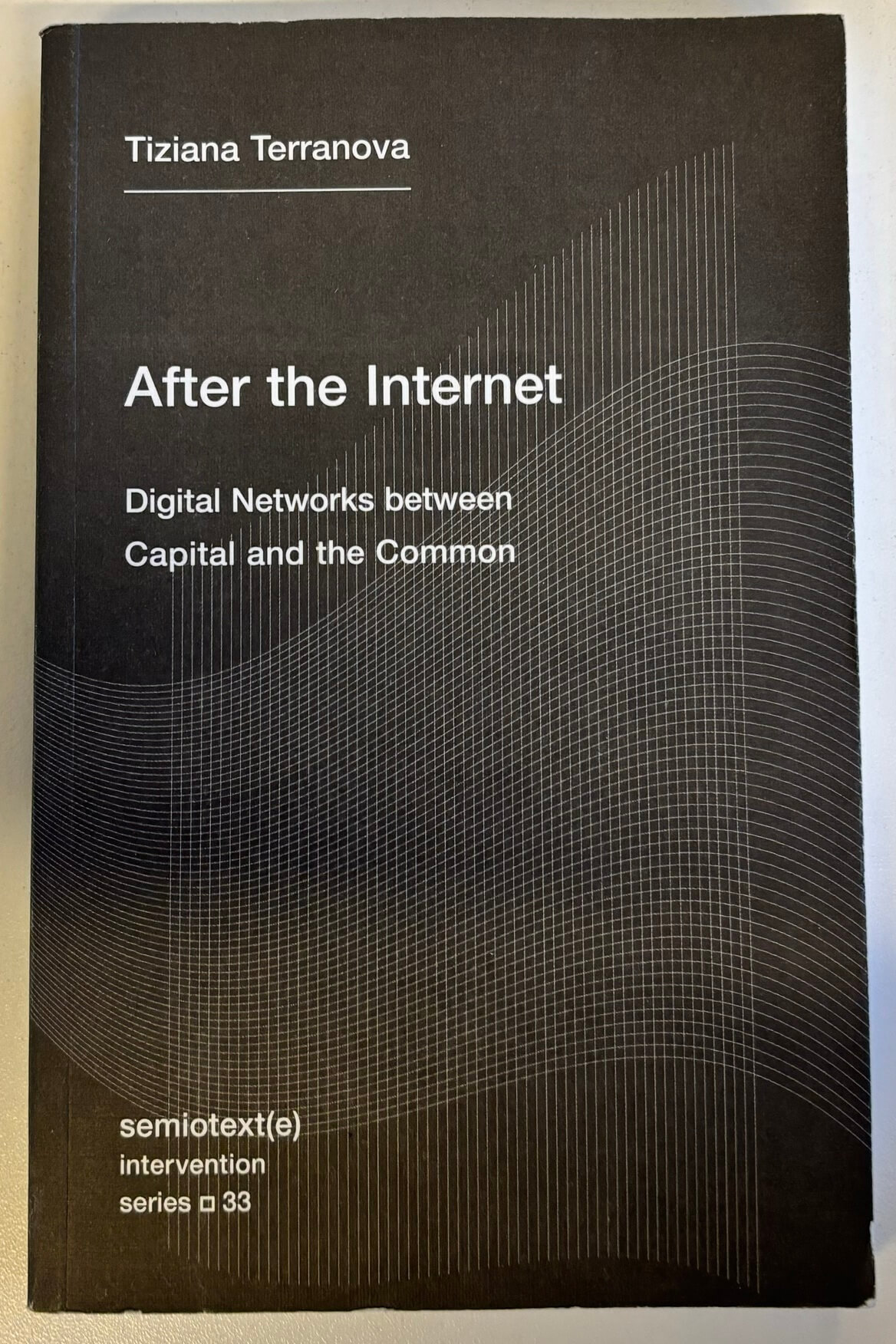 “After the Internet: Digital Networks between Capital and the Common” by Tiziana Terranova
