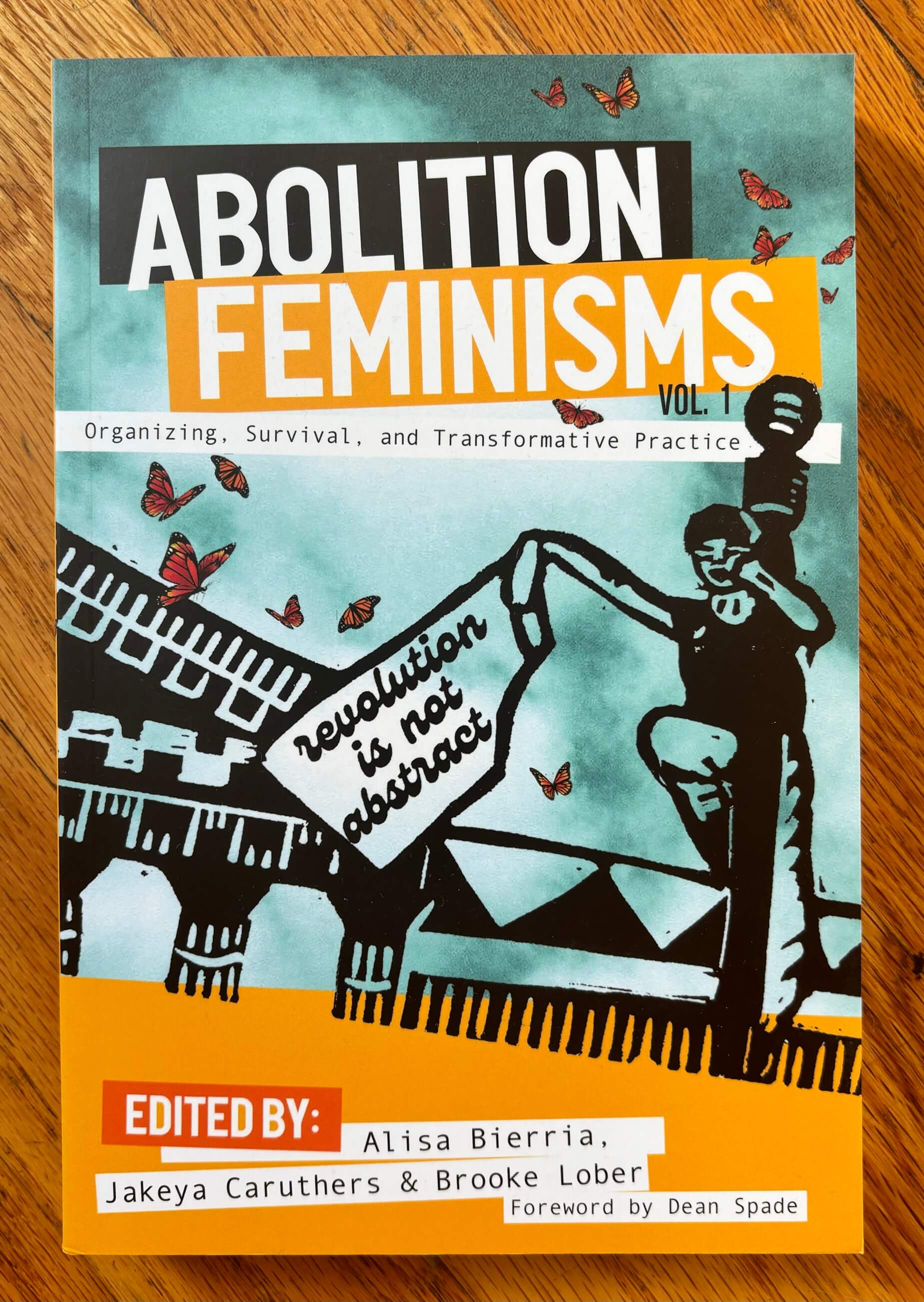 “Abolition Feminisms Vol 1: ORganizing, Survivial, and Transformative Practice” edited by Alisa Bierria, Jakeya Caruthers & Brooke Lober